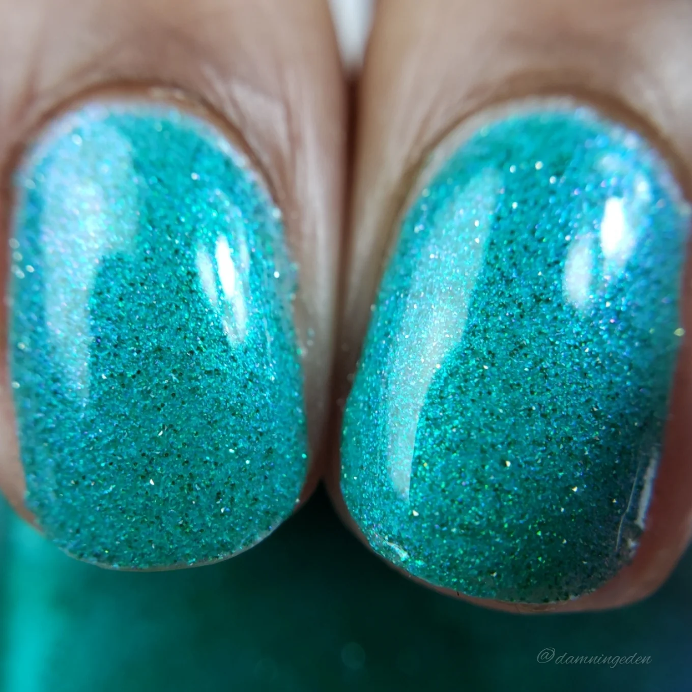 Thumbnail 15