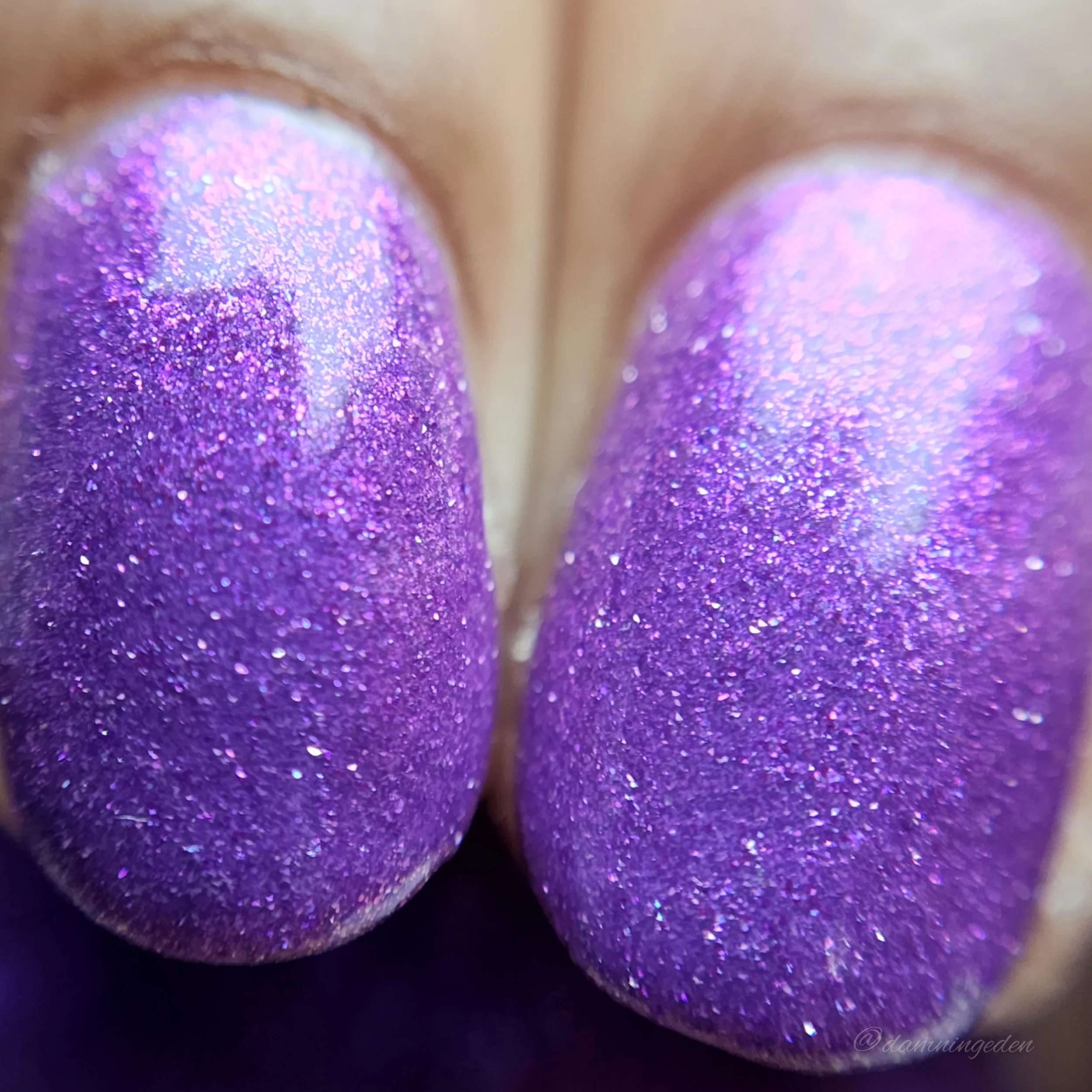 Thumbnail 17