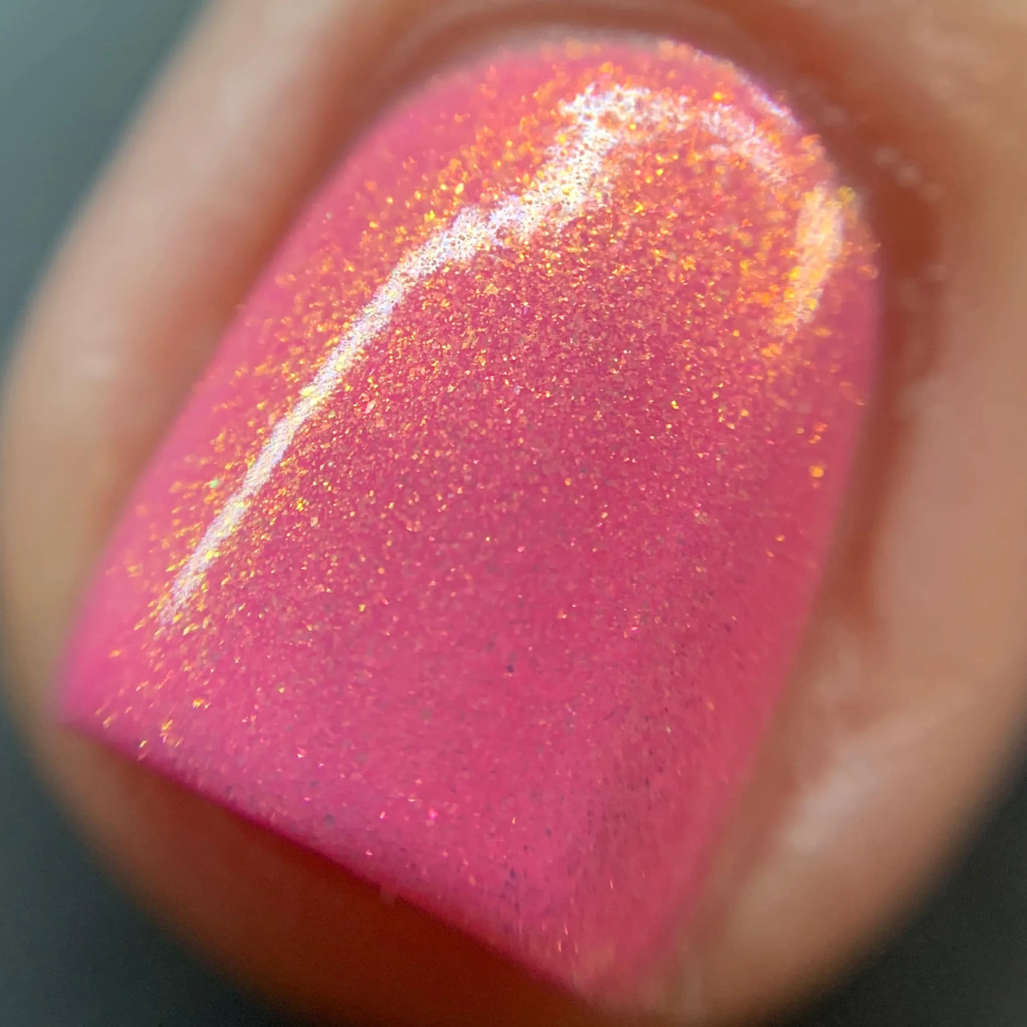Thumbnail 14