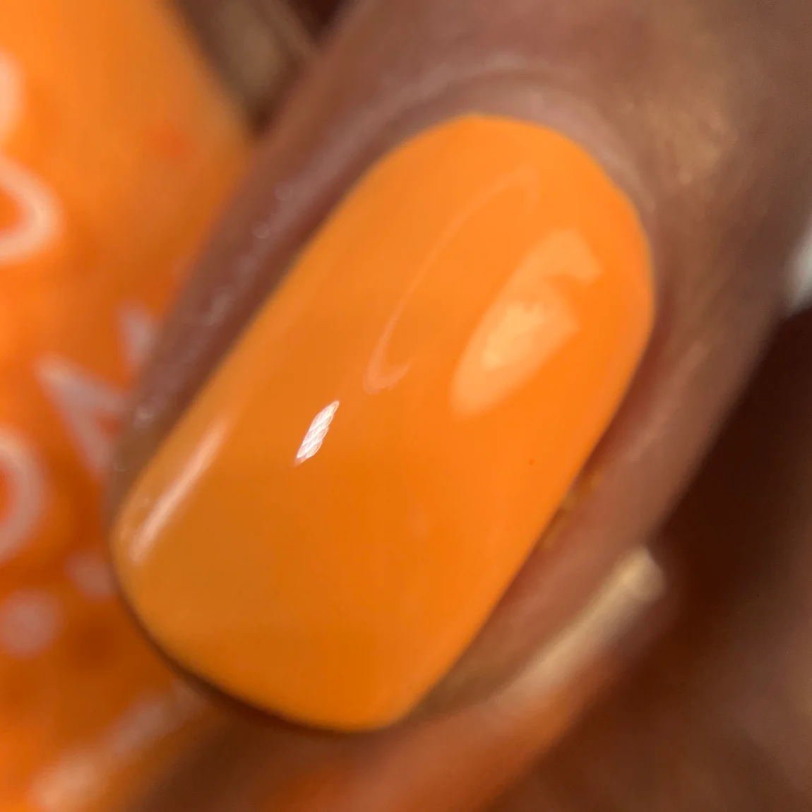 Thumbnail 13